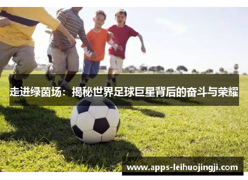 走进绿茵场：揭秘世界足球巨星背后的奋斗与荣耀