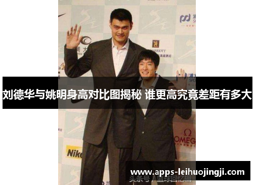 刘德华与姚明身高对比图揭秘 谁更高究竟差距有多大