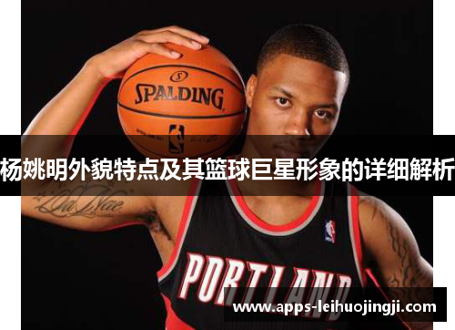 杨姚明外貌特点及其篮球巨星形象的详细解析