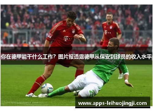 你在德甲能干什么工作？图片报透露德甲从保安到球员的收入水平